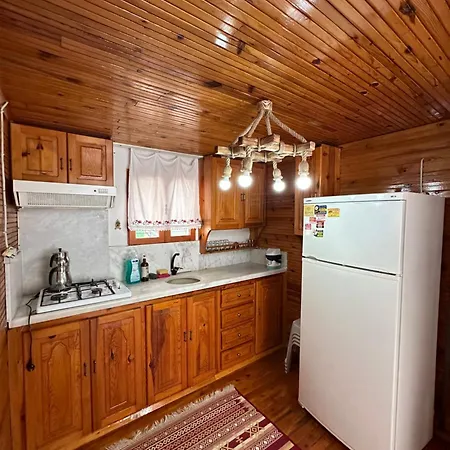 Tuerkmen Apart2 펜션 뎀레